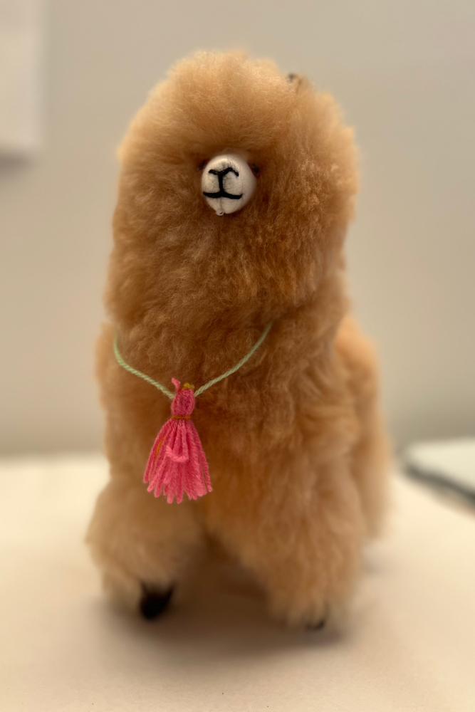 Handmade Llama